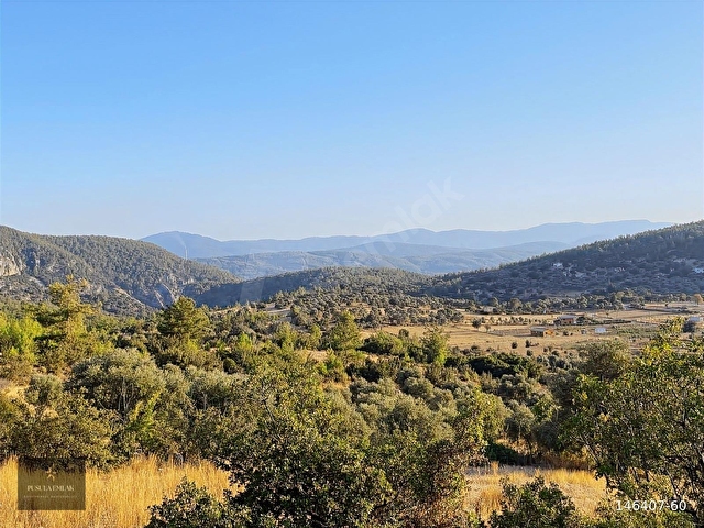 MUĞLA MİLAS GÖKBEL MEVKİİ YATIRIMLIK FIRSAT 2003 m² TARLA - Görsel 12