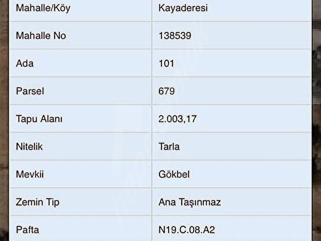MUĞLA MİLAS GÖKBEL MEVKİİ YATIRIMLIK FIRSAT 2003 m² TARLA - Görsel 17