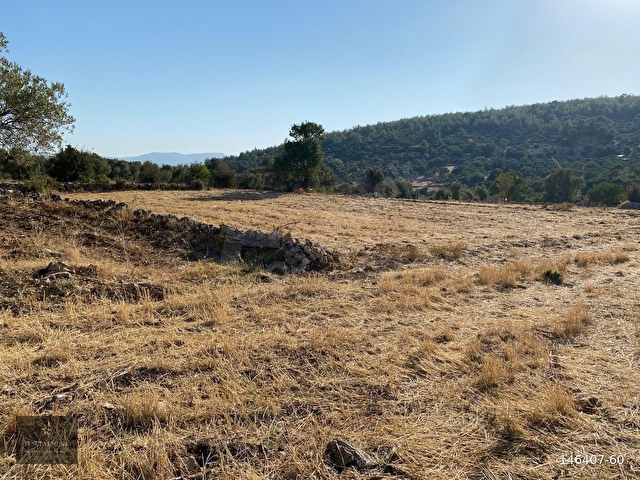 MUĞLA MİLAS GÖKBEL MEVKİİ YATIRIMLIK FIRSAT 2003 m² TARLA - Görsel 21