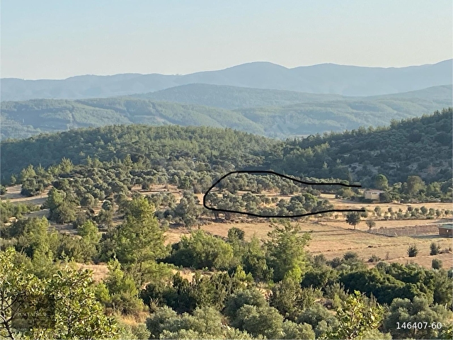 MUĞLA MİLAS GÖKBEL MEVKİİ YATIRIMLIK FIRSAT 2003 m² TARLA - Görsel 9