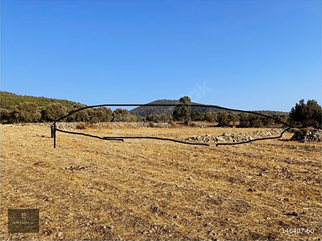 MUĞLA MİLAS GÖKBEL MEVKİİ YATIRIMLIK FIRSAT 2003 m² TARLA - Görsel 23
