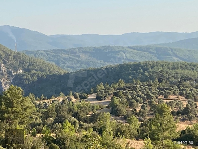 MUĞLA MİLAS GÖKBEL MEVKİİ YATIRIMLIK FIRSAT 2003 m² TARLA - Görsel 18