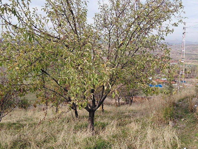 İmarlı Yatırımlık Arsa - Görsel 11