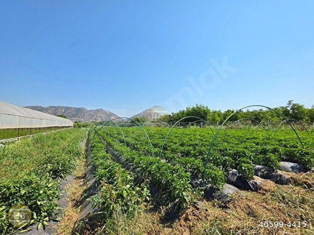 HBden Satılık BAHÇE, Merkeze Yakın Mükemmel Yatırım Fırsatı. 5900 m² Kullanım Alanı - Görsel 29