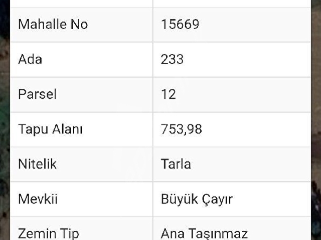 DOĞA İLE İÇ İÇE - Görsel 2