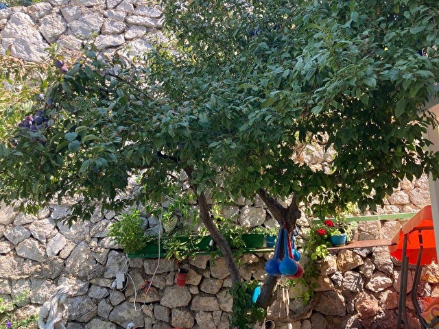 Sahibinden Izmir Karaburun Da 3 1 Satilik Yazlik 0 36146523 Hurriyet Emlak