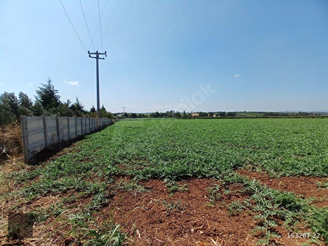 Bursa Karacabey Anayol Üstü 22.750 m2 Köşe Konumda Satılık Arsa - Görsel 5