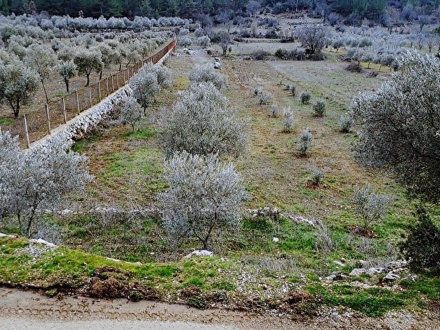 Muğla Menteşe K.Kuyucakta 2114,69 m2 SATILIK Tarla - Görsel 19