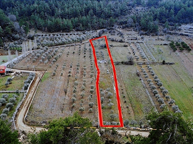 Muğla Menteşe K.Kuyucakta 2114,69 m2 SATILIK Tarla