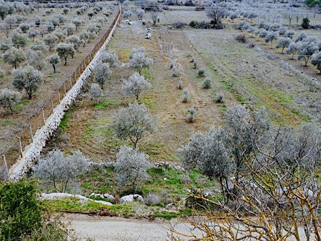 Muğla Menteşe K.Kuyucakta 2114,69 m2 SATILIK Tarla - Görsel 17