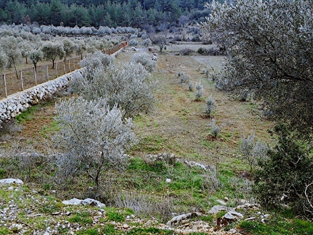 Muğla Menteşe K.Kuyucakta 2114,69 m2 SATILIK Tarla - Görsel 23