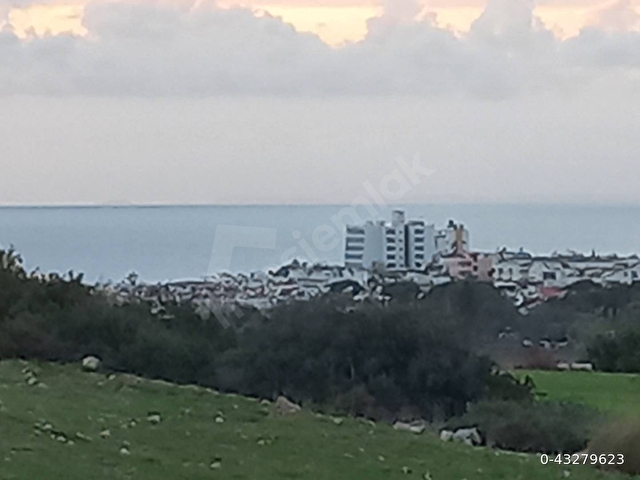 Arsa ve konteyner beraber satılık ki