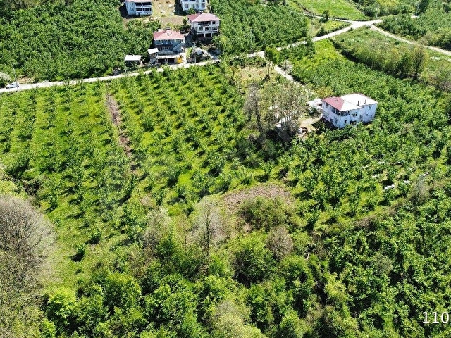 Düzce Merkez Dağdibi Köyünde Satılık Konut İmarlı Arsa