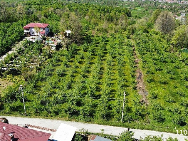 Düzce Merkez Dağdibi Köyünde Satılık Konut İmarlı Arsa - Görsel 5
