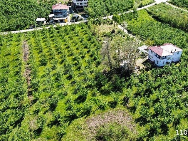 Düzce Merkez Dağdibi Köyünde Satılık Konut İmarlı Arsa - Görsel 13