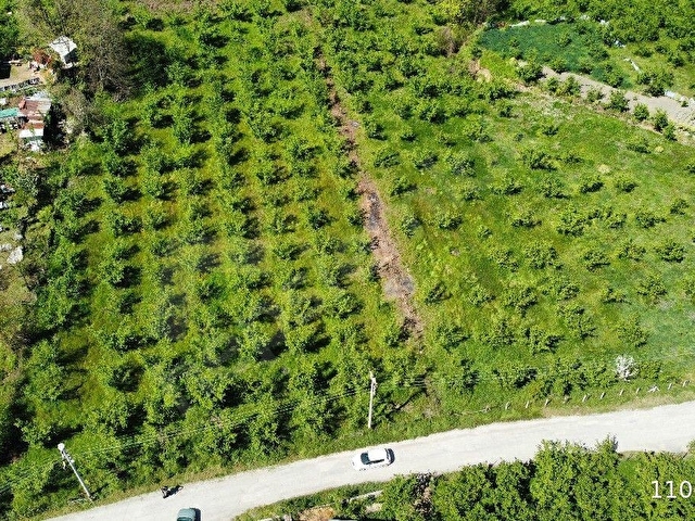 Düzce Merkez Dağdibi Köyünde Satılık Konut İmarlı Arsa - Görsel 14