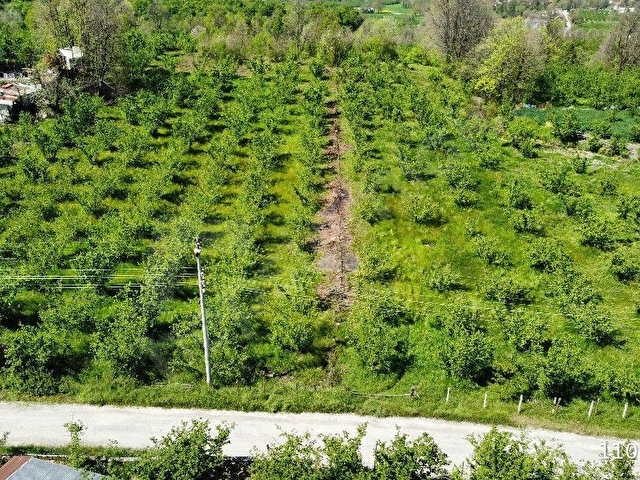 Düzce Merkez Dağdibi Köyünde Satılık Konut İmarlı Arsa - Görsel 17