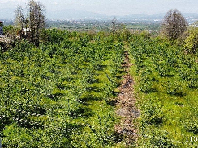 Düzce Merkez Dağdibi Köyünde Satılık Konut İmarlı Arsa - Görsel 18