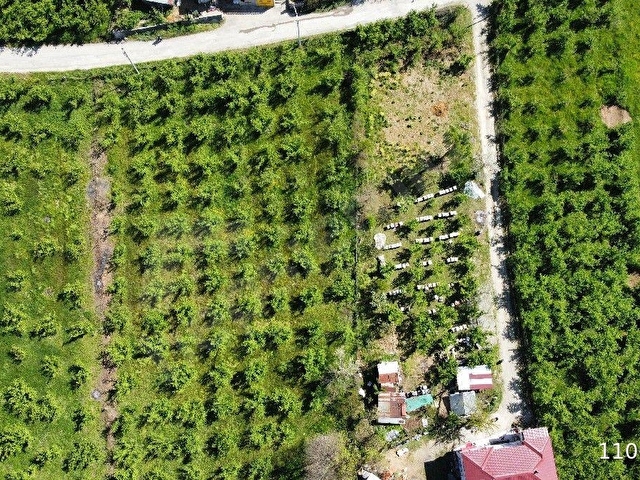 Düzce Merkez Dağdibi Köyünde Satılık Konut İmarlı Arsa - Görsel 23