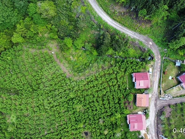 Sahibinden Satılık Müstakil Ev ve Fındık Bahçesi (5.800 m2) - Görsel 2