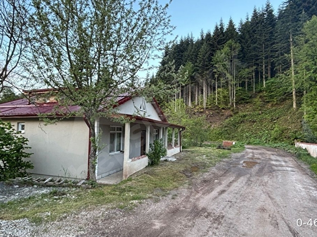 Sahibinden Satılık Müstakil Ev ve Fındık Bahçesi (5.800 m2) - Görsel 7