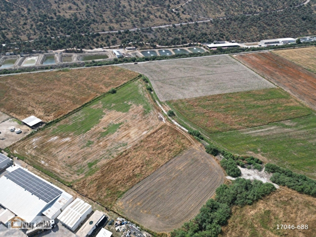 Milas Savranda 16.552 m² Satılık Tarla Üretim Tesisleri Bölgesi - Görsel 7
