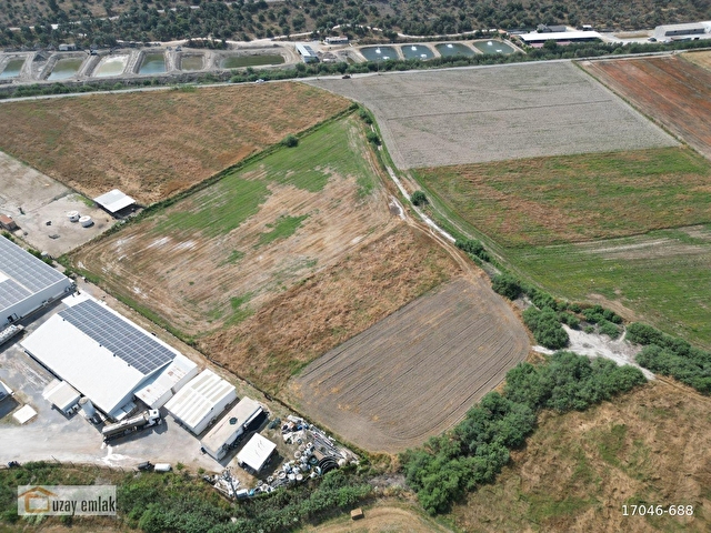 Milas Savranda 16.552 m² Satılık Tarla Üretim Tesisleri Bölgesi