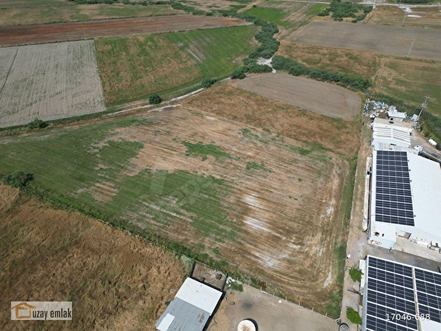 Milas Savranda 16.552 m² Satılık Tarla Üretim Tesisleri Bölgesi - Görsel 15