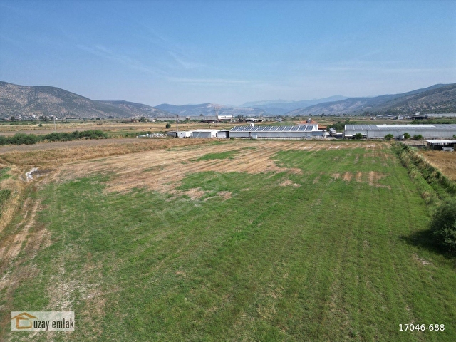 Milas Savranda 16.552 m² Satılık Tarla Üretim Tesisleri Bölgesi - Görsel 12