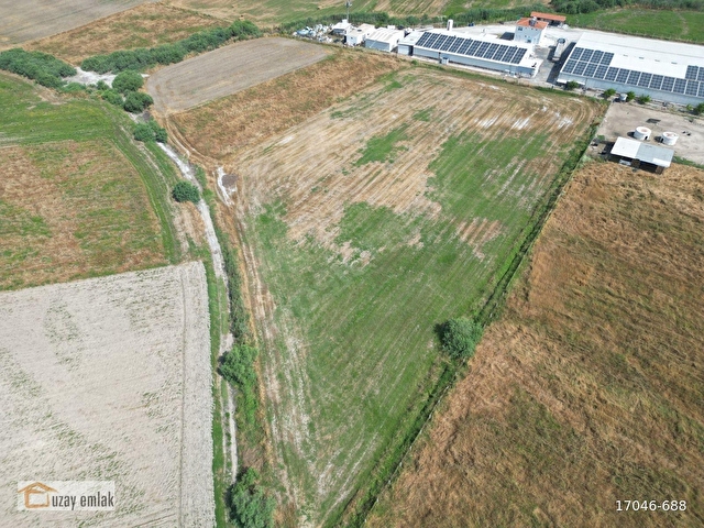 Milas Savranda 16.552 m² Satılık Tarla Üretim Tesisleri Bölgesi - Görsel 2
