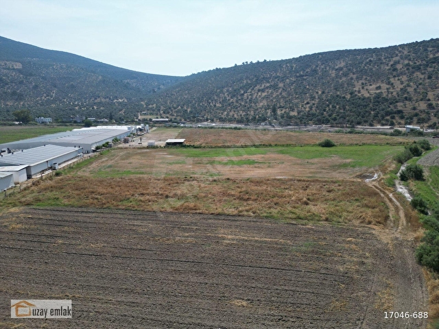 Milas Savranda 16.552 m² Satılık Tarla Üretim Tesisleri Bölgesi - Görsel 9