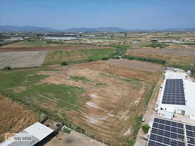 Milas Savranda 16.552 m² Satılık Tarla Üretim Tesisleri Bölgesi - Görsel 14