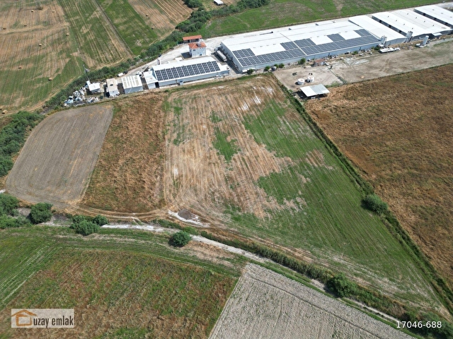 Milas Savranda 16.552 m² Satılık Tarla Üretim Tesisleri Bölgesi - Görsel 3