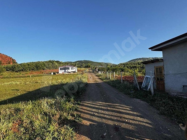 MERKEZE 13 KM UZAKLIKTA TEK TAPU 1567 M2HATUNOĞLU GAYRİMENKUL - Görsel 28