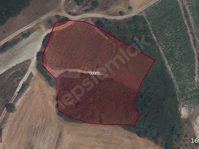 EL/YA DAN BİGADİÇ ÇAĞIŞ 6910 m2 TARLA - Görsel 5