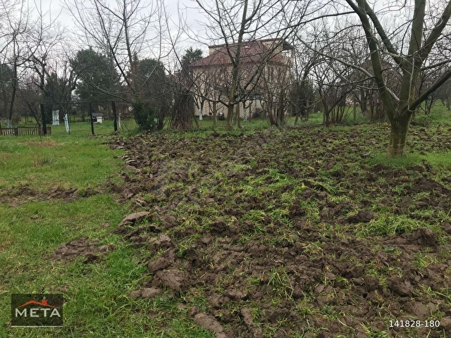 META DAN SAPANCA GÖLÜNÜN YANI BAŞINDA KUPON MEYVE BAHÇESİ - Görsel 7
