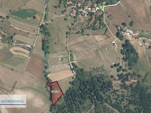 KOCAELİ GEBZE DURAKLI DA YOLU OLAN KÖY MERKEZİNDE SATILIK TARLA