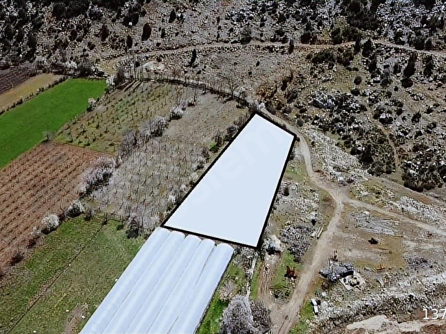 uyaroğlu emlaktan kuzköy mah. satılık 3300 m2 satılık arsa - Görsel 12