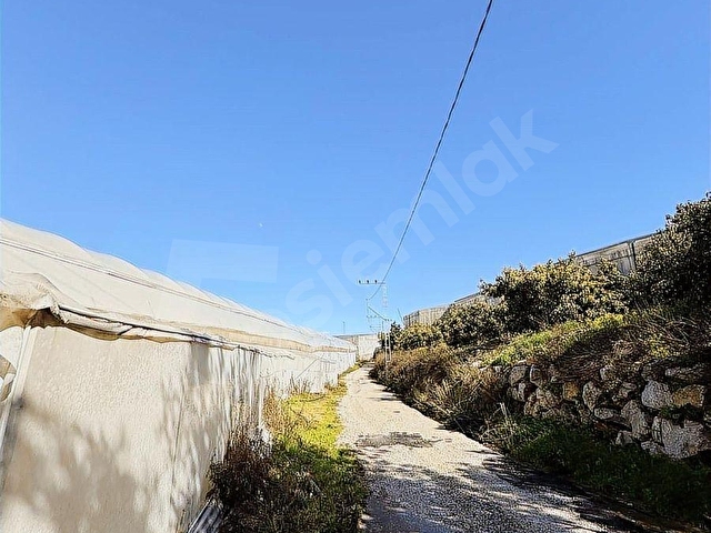 ALANYA UĞRAK BÖLGEDE BOŞ ARAZİ FİYATINA SATILIK 2.832 m2 SERA - Görsel 7