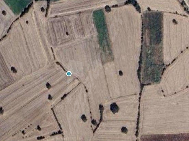 ÇANAKKALE EZİNE ÇETMİ KÖYÜNDE 25 DÖNÜM TARLA