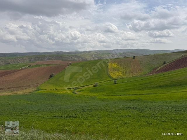/LİDER GAYRİMENKULDEN/ KARACALAR MAH 1200m2 HİİSE TAPULU TARLA - Görsel 17