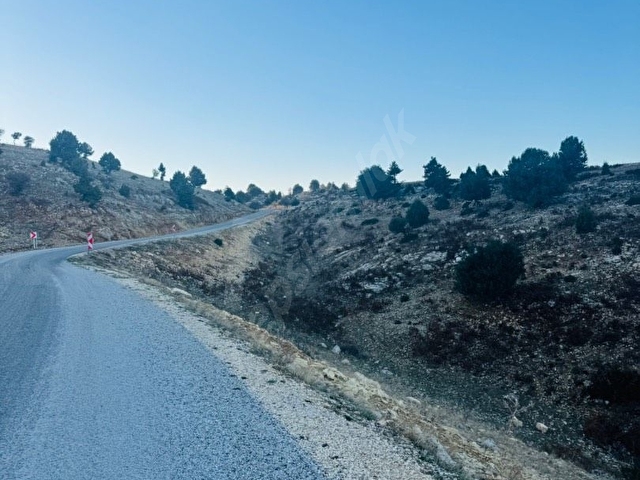 Küçük Fındık Yaylasında Deniz-Şehir Manz. 7.5 Dönüm Yaylalık - Görsel 10