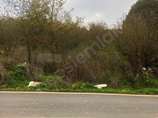 Sıraköy de Asfalt Cepheli, Manzaralı, FIRSAT SATILIK TARLA - Görsel 8