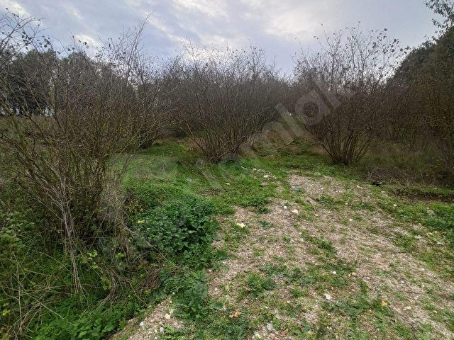 Sıraköy de Asfalt Cepheli, Manzaralı, FIRSAT SATILIK TARLA - Görsel 10