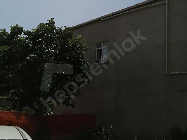 Pendik Veli Baba Ertuğrul Gazi kiralık daire - Görsel 14