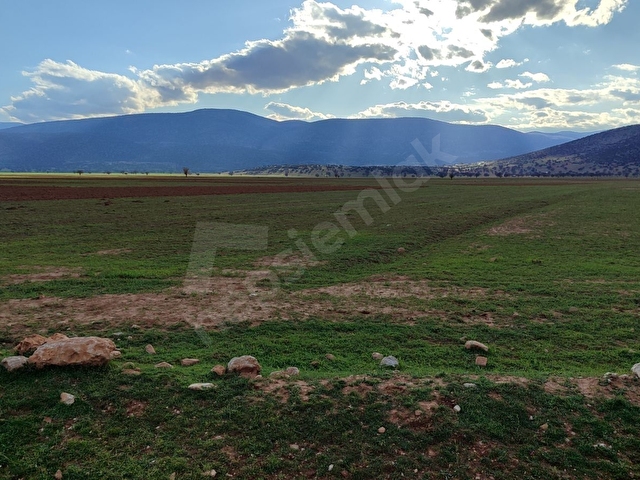 KORKUTELİ İMECİK KÖYÜ SATILIK 1.494M2 TARLA RESMİ YOL VAR - Görsel 5