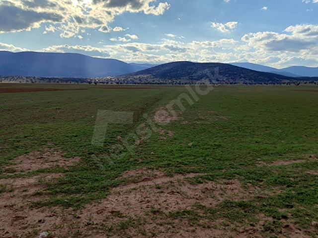 KORKUTELİ İMECİK KÖYÜ SATILIK 1.494M2 TARLA RESMİ YOL VAR - Görsel 7