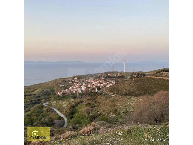 KARABURUN SARPINCIK KÖYÜNDE SATILIK TARLA - Görsel 2