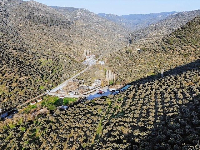 ÇİMEN EMLAKtan SATILIK HARİKA MEVKİİDE 2380m2 ZEYTİNLİK - Görsel 5