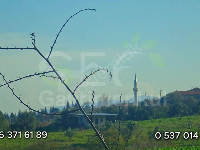 Gönende Meraya Cephe Tarım ve Hayvancılık İçin Uygun Tarla - Görsel 24